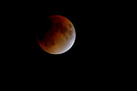 Lunar Eclipse January 31 2017