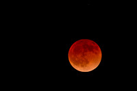 Lunar Eclipse April 15 2014