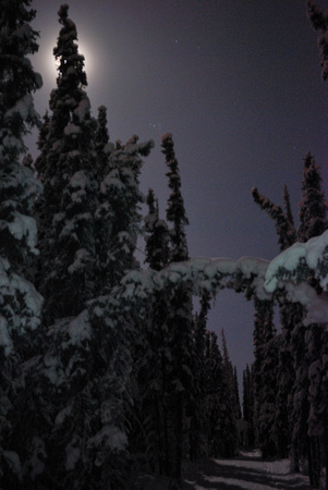 Ski trail in moonlight at the end of a period with -40°C