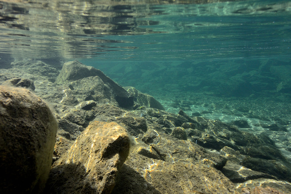 Under the surface of a clear mountain stream